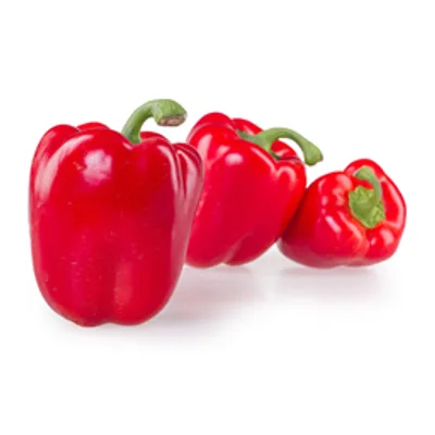 Paprika Babura