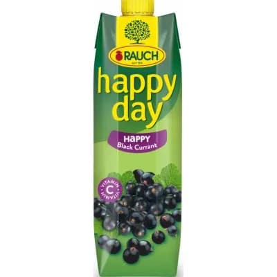 Brik Happy Day Crna Ribizla 100%