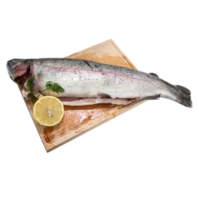 Sveža Rečna Riba Losos Pastrmka Bio Fish Rf