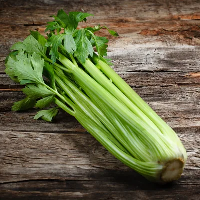 Celer Rebraš 500 g