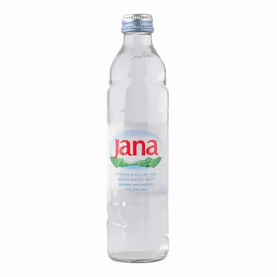 Voda Jana Pet 330 ml