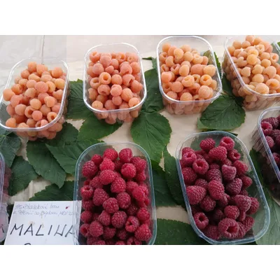 Dz Maline 750 g