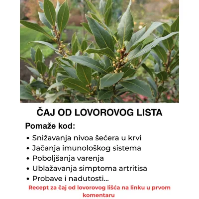 Lovorov List Ilios 20 g
