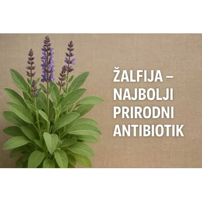 Žalfija Organska Monoxylitis 30 g