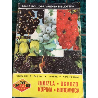 Mix Kupina Ribizla Borovnica Wfc 200 g