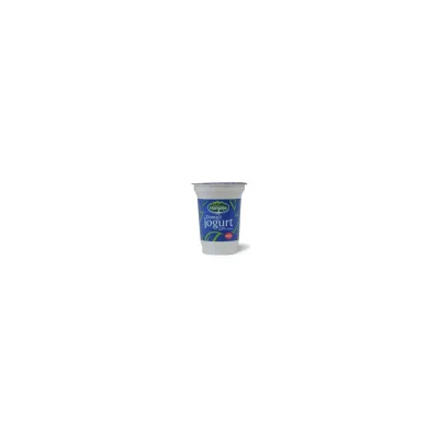 Jogurt Domaci 2.8%mm Ekofil 180 g