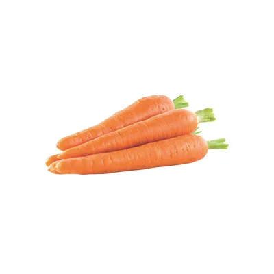 Šargarepa Tacna Blagojević 1 kg