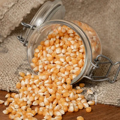 Kukuruz Kokicar 2 kg