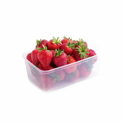 Jagoda Korpica 500 g