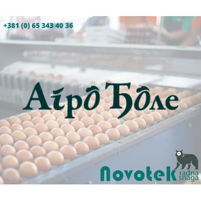 Jaje Nojevo Ag