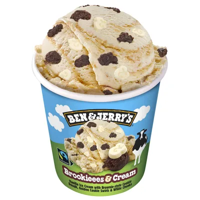 Sladoled Brookies&cream Ben&jerry 465 ml