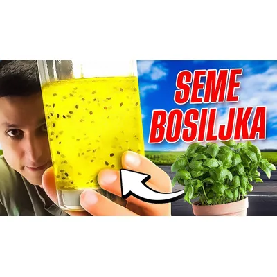 Sok Liči Sa Semenom Bosiljka Joiner 290 ml